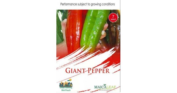 Jual benih cabe raksasa giant pepper